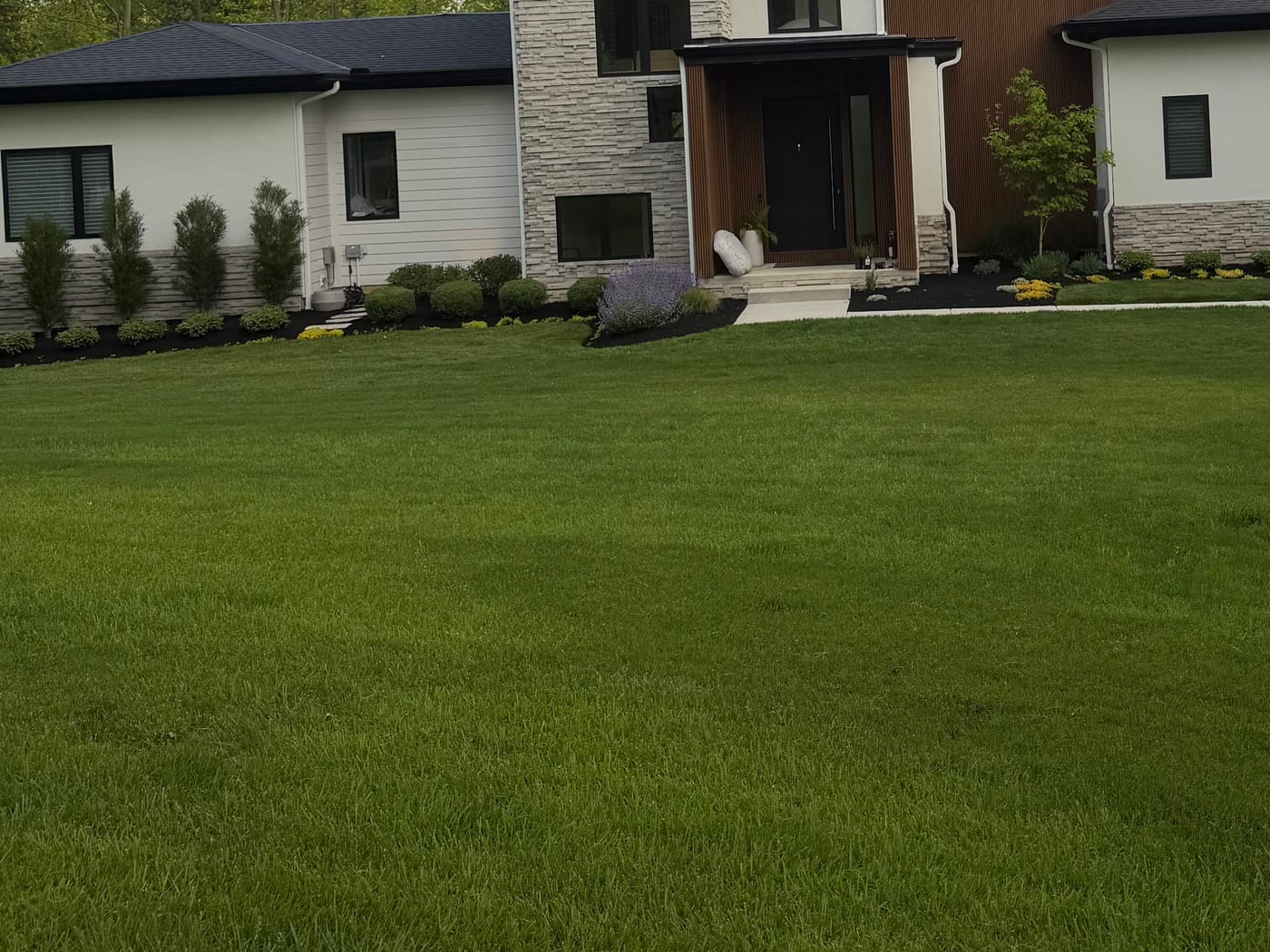 Foundation planting beds along a modern home with columnar evergreens, clipped boxwood, flowering perennials, dark mulch, and a crisp cut bed edge