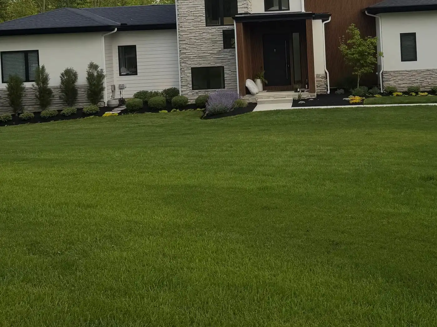 Foundation beds with clipped boxwood, flowering perennials, fresh dark mulch, and a sharply cut edge against the lawn